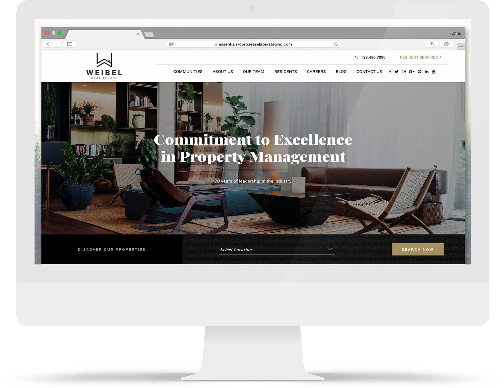 Variety of Themes, Styles, and Color Palettes