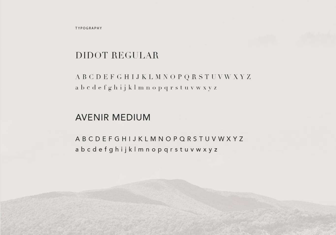 Vertis Typography Concept